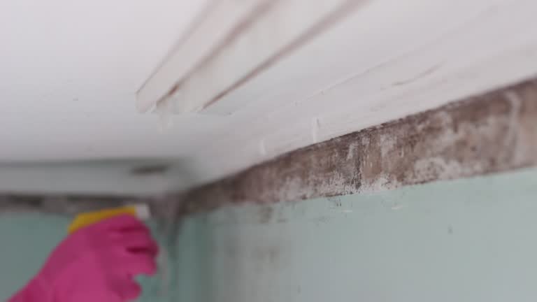 Mold Exposure & Symptoms